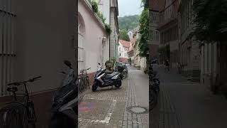 Old town of Heidelberg The most beautiful city in Germany travel tram birds spring nature [upl. by Narret491]