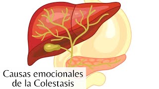 ¿Qué causa la Colestasis [upl. by Alludba]