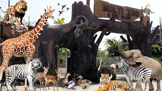 Multi Zoo  Hidden Zoo In B17Multi Garden Islamabad  FM Cuisine [upl. by Ecinwahs]