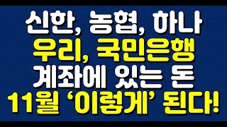 신한 농협 하나우리 국민은행 계좌에 있는 돈 11월 이렇게 된다 [upl. by Anola]