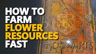 How to farm Flower Resources Fast Hogwarts Legacy [upl. by Akcebar]