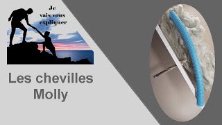 Les chevilles Molly [upl. by Nosa]