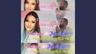 Te plimbi prin mintea mea feat Camelia Rosu Remix 2023 [upl. by Eeryk]