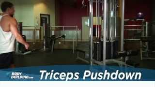 Triceps Pushdown  Tricep Exercise  Bodybuildingcom [upl. by Quillan]