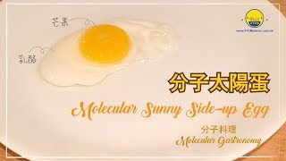 【分子料理】🍋 🍳 芒果優格蛋 [upl. by Trella]