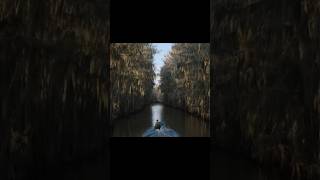 Caddo Lake  2024  IMDb 69 Malayalam review moviereview malayalam [upl. by Bilak]