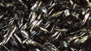 Trachyte Obsidian Thin Section [upl. by Analihp]