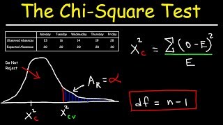 Chi Square Test [upl. by Dudley233]