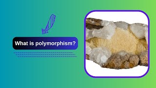 What is polymorphism [upl. by Idnic]