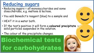 Biochemical tests for carbohydrates [upl. by Arrol498]