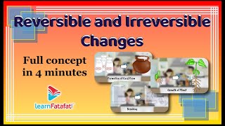 Class 6 Science Changes Around Us  Reversible and Irreversible Changes  LearnFatafat [upl. by Macknair]