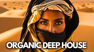 Cafe De Anatolia  Organic Deep House Mix by Rialians [upl. by Otrebliw]