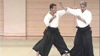 Aikido  Irimi Nage [upl. by Emersen427]