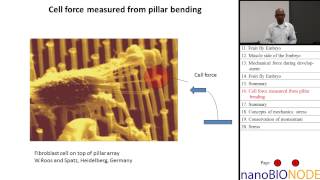 Introduction to Mechanics in Mechanobiology Part I Taher Saif [upl. by Trudy]