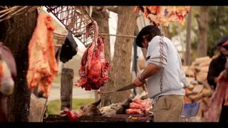 PAISANOS  ASADORES  Serie Documental TDA  Capítulo 8 [upl. by Atrahc]