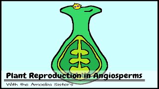 Plant Reproduction in Angiosperms [upl. by Luigino]