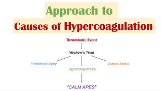 quotExcessive Clottingquot HYPERCOAGULATION  Virchow’s Triad  Causes of Venous and Arterial Thrombosis [upl. by Nnylireg]