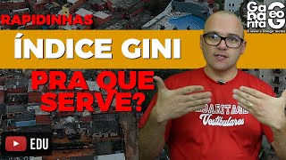 O QUE É ÍNDICE GINI Geografia  Rapidinhas 013 [upl. by Enej]