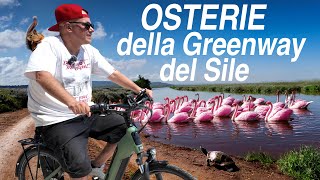 Cicloturismo a Treviso La Pista Ciclabile del Sile che Arriva fino a Jesolo e le sue Osterie [upl. by Ardnuhsed]