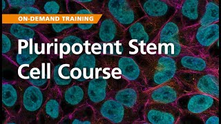 OnDemand Training Pluripotent Stem Cells [upl. by Alor]