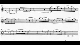 Schindlers List Theme violin sheet music [upl. by Filberto117]