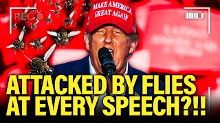 Trump SWARMED BY FLIES at Speeches…WTF is Happening [upl. by Assetniuq]