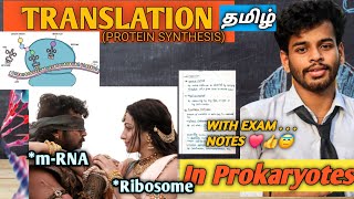 Translationprokaryotesnotestamilprotein synthesisdnamrnatrnadiagramprocessgene expression [upl. by Guthry]