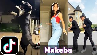 Makeba  Jain  TikTok Compilation [upl. by Lothaire]