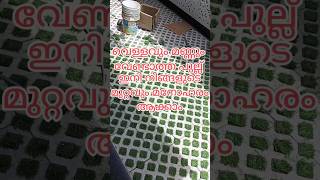 Outdoor paving tiles outdoor floor tiles viralvideo outdoor floor stone design [upl. by Ailedo]