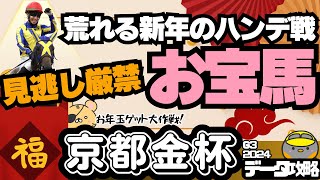 【京都金杯攻略】お年玉チャンスがありそうなマイル巧者とは？ ドーブネたち有力馬の適性・実力をチェック！【競馬予想2024】 [upl. by Lenroc]