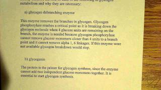 glycogen debranching enzyme and glycogenin [upl. by Daberath493]