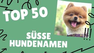 Süße Hundenamen  TOP 50 Liste [upl. by Wiggins]