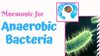 Anaerobic Bacteria Mnemonic for USMLE Step 1  MedSurvival [upl. by Adnael129]