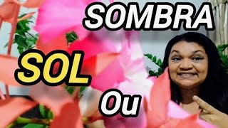 2 DICAS para IDENTIFICAR uma PLANTA de SOL ou de SOMBRA [upl. by Lertnom]