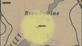 Red Dead Redemption 2 ONLINE  Tresor a BRANDYWINE DROP [upl. by Nnaeed]