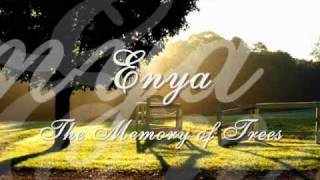 Enya  The Memory of Trees [upl. by Doloritas]