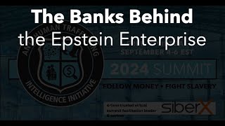 The Banks Behind the Epstein Enterprise [upl. by Garnette]