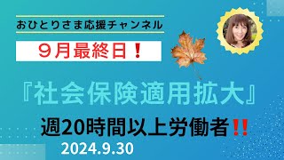 『社会保険適用拡大』について❗️ 2024年9月30日おひとりさま応援チャンネル おひとりさま 社会保険加入社会保険制度法改正 [upl. by Maltzman469]