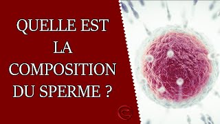 Quelle est la composition du sperme et du liquide préséminal [upl. by Dinnage]