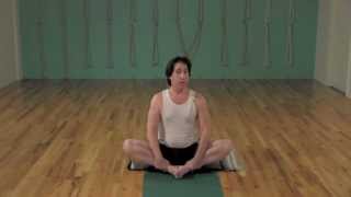 10 minute Beginning Iyengar  FREE Iyengar Yoga Class [upl. by Rasmussen]