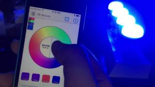 MagicLight Bluetooth Mesh LED Light Bulb Setup Instructions [upl. by Atiekal]