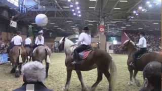 Caroussel des chevaux de traits Français  Salon de lagriculture 2013 [upl. by Metcalf]