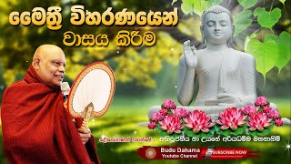 මෛත්‍රී විහරණයෙන් වාසය කිරීම  maithree bawanawa  most ven na uyane ariyadhamma maha thero [upl. by Akinal134]