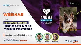 WEBINAR ABRIL 2024  feat REMEVET [upl. by Shalne]