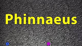 How To Pronounce Phinnaeus [upl. by Ellsworth104]