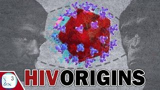 The REAL Origins amp Evolution of HIV [upl. by Drahcir]