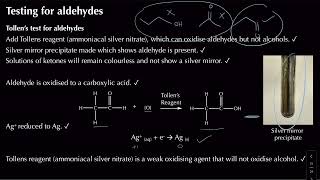 Testing for Carbonyls  Module 6 Organic Chemistry and Analysis  Chemistry  A Level  OCR A [upl. by Fons697]