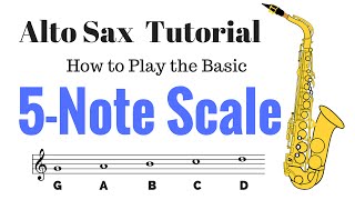 Basic 5 Note Scale for Alto Sax Beginner Tutorial [upl. by Atirac909]