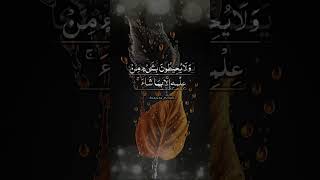 AyatulKursi The Verse of the Throne  Powerful Recitation amp Explanation ayatulkursi [upl. by Fattal]