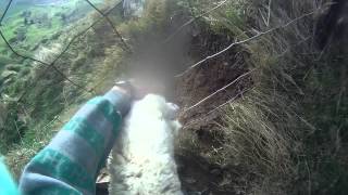 Fail rescue sheep NZ quotoriginalquot [upl. by Xylia977]